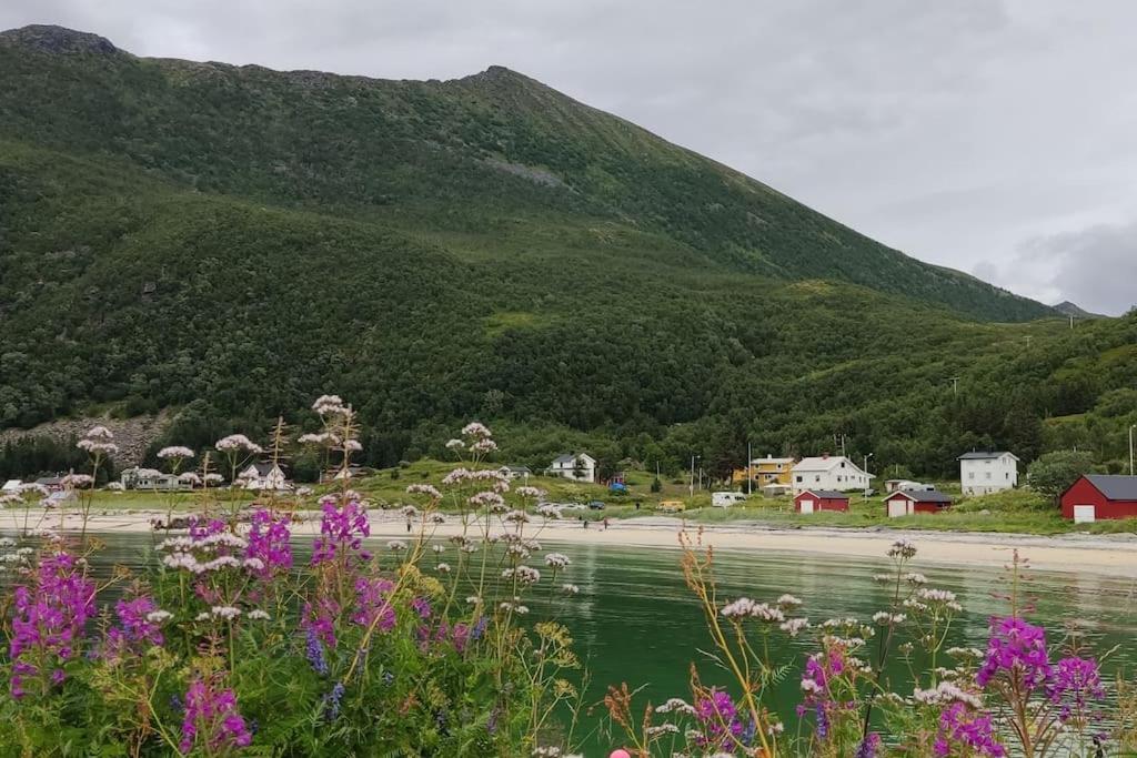 Apartamento Norwegian House Maria Stua Mefjordvær Exterior foto
